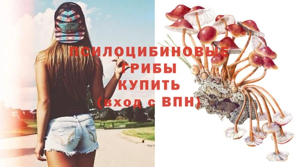 таблы Липки