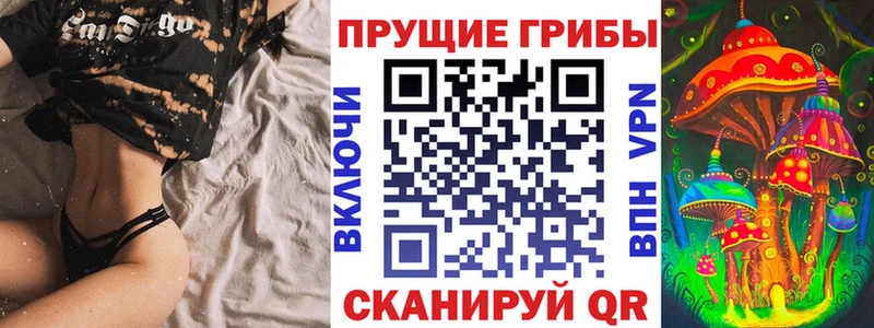 Купить где  Задонск  Псилоцибиновые грибы GOLDEN TEACHER 
